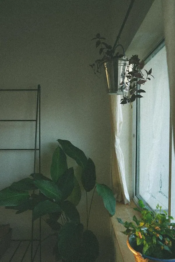 Homestay - Male Shared Dorm - View Song Tren Ban Dao Thanh Da - Binh Thanh - Sai Gon Ho Chi Minh City