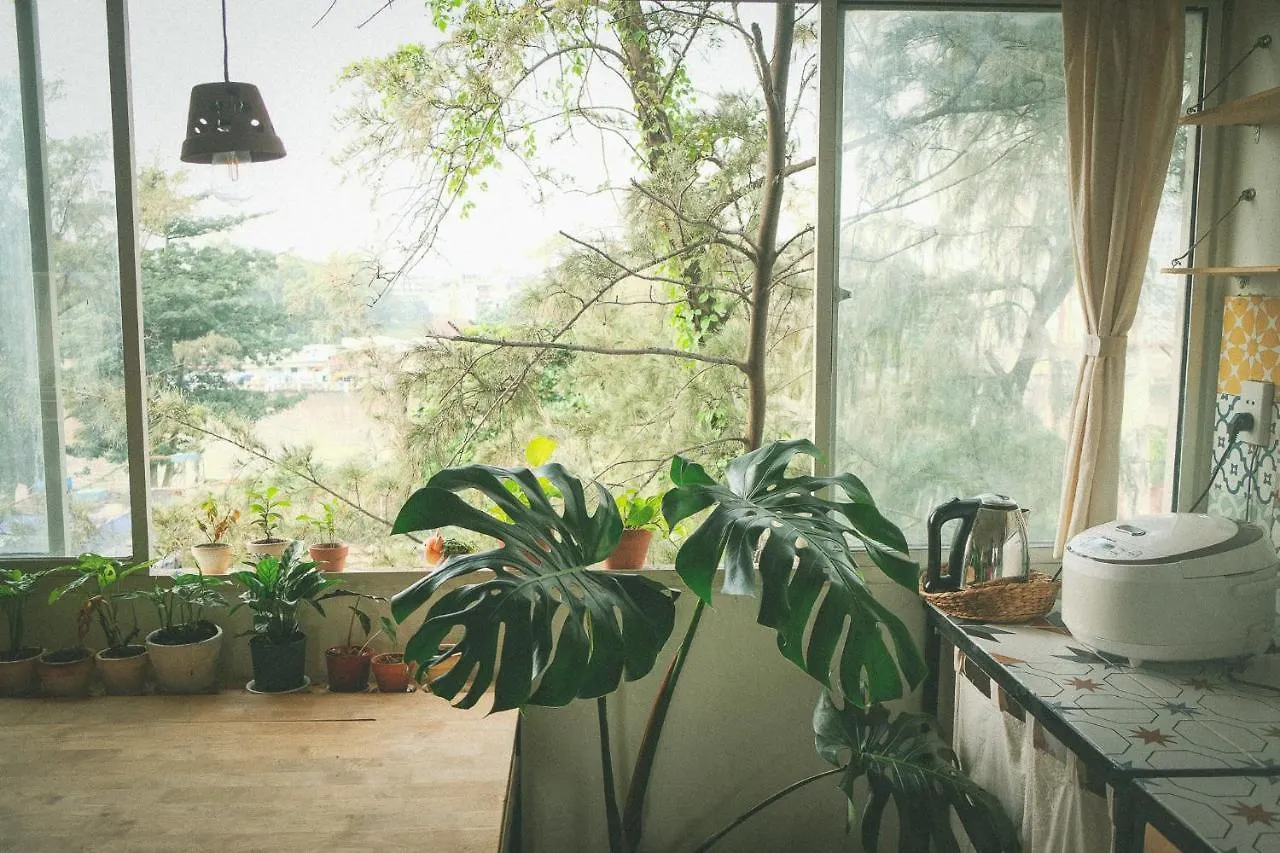 Homestay - Male Shared Dorm - View Song Tren Ban Dao Thanh Da - Binh Thanh - Sai Gon Ho Chi Minh City