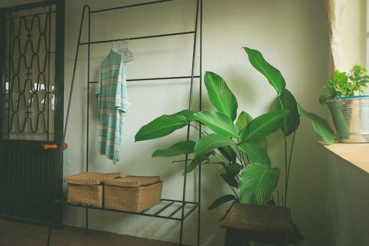 Homestay - Male Shared Dorm - View Song Tren Ban Dao Thanh Da - Binh Thanh - Sai Gon Ho Chi Minh City