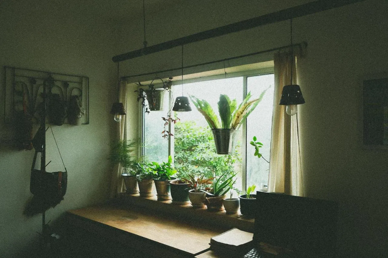 Homestay - Male Shared Dorm - View Song Tren Ban Dao Thanh Da - Binh Thanh - Sai Gon Ho Chi Minh City Vietnam