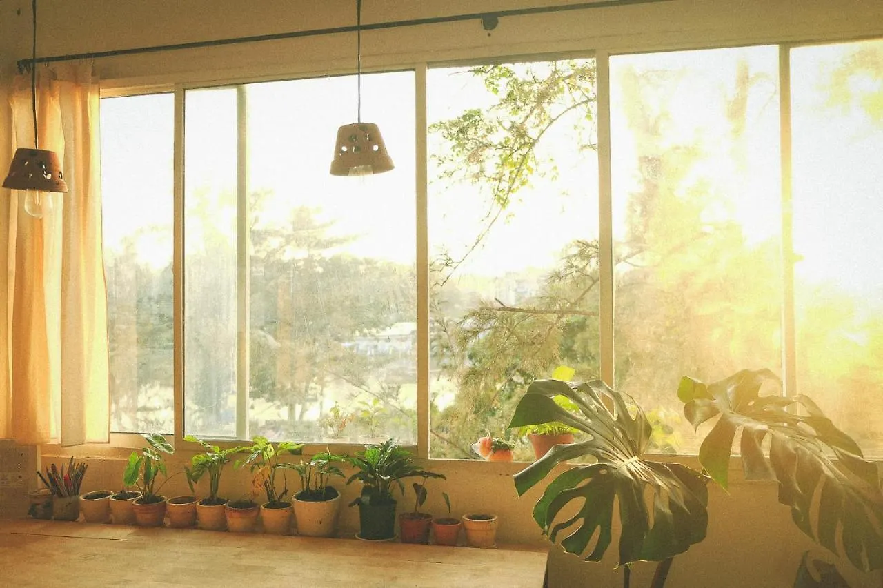 Homestay - Male Shared Dorm - View Song Tren Ban Dao Thanh Da - Binh Thanh - Sai Gon Ho Chi Minh City