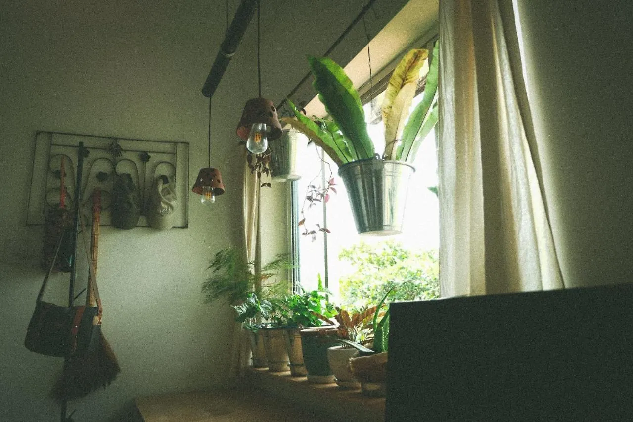 Homestay - Male Shared Dorm - View Song Tren Ban Dao Thanh Da - Binh Thanh - Sai Gon Ho Chi Minh City 0*,